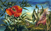 Dietrich Schuchardt Red Poppy (From My Garden) gouache on board painting